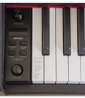 PIANO DIGITAL PIANOVA P-191 RW
